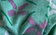 Green Patterned